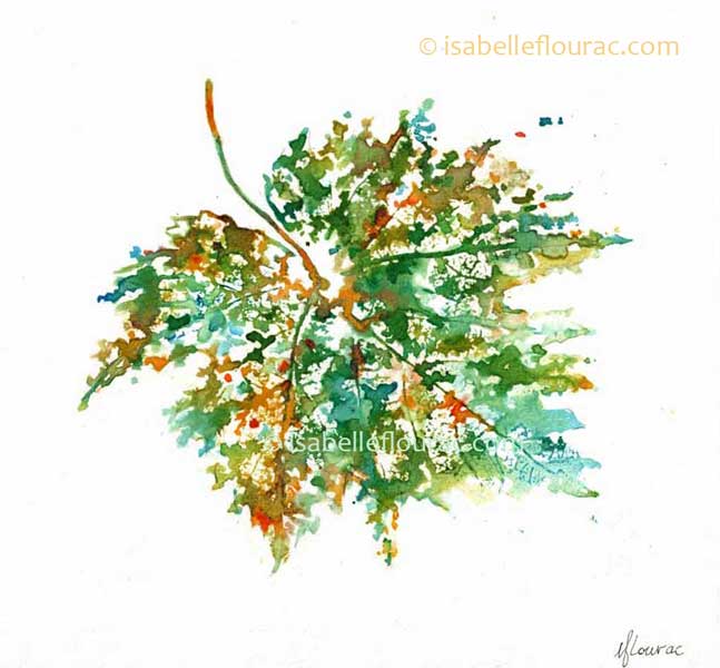 feuille-vi-isabelle-flourac
